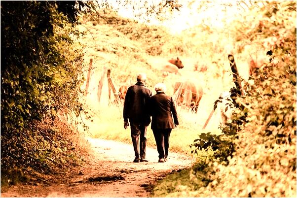 夢見小蛇咬了我兩口有什麼預兆_周公解夢官網