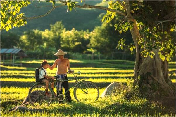 夢到諸葛亮騎馬意味什麼_周公解夢官網