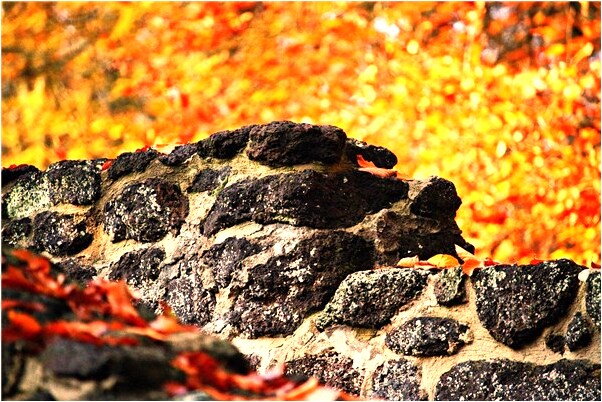 夢見自己賣雞蛋裝箱子是什麼預兆？_周公解夢官網