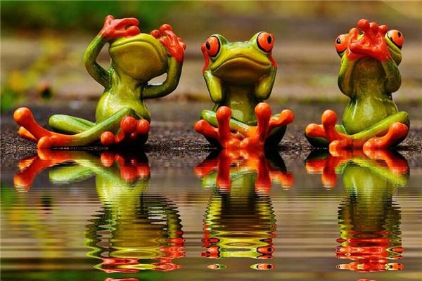 夢見好多青蛙_周公解夢