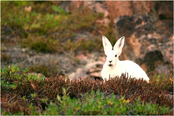 夢見被潑了一房子大糞湯意味什麼_周公解夢官網