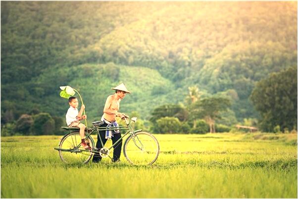 夢到了家人趕我出去住什麼寓意_周公解夢官網