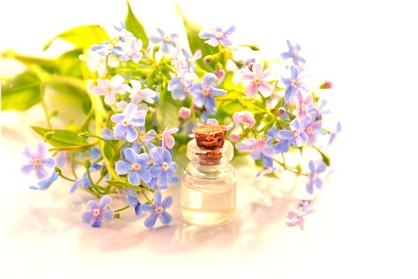 夢到了在菜地弄菜意味什麼_周公解夢官網