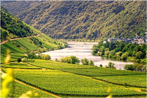 夢到女兒沒吃飯有什麼寓意嗎？_周公解夢官網