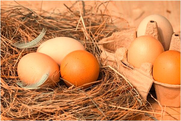 夢到自己在別人面前撒尿是啥預兆_周公解夢官網