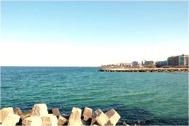 夢到了肛門拽出蟲子是啥預兆_周公解夢官網