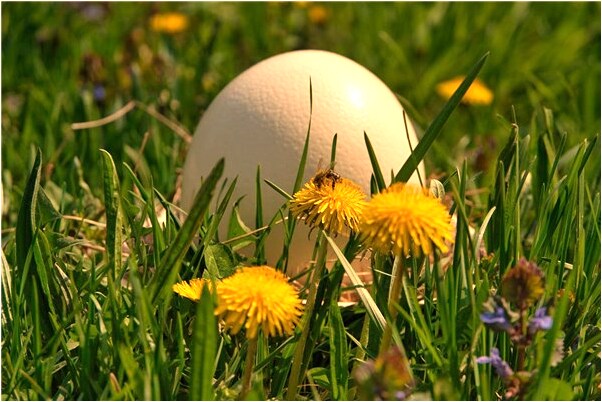 夢到了女朋友得癌症有什麼預示嗎_周公解夢官網