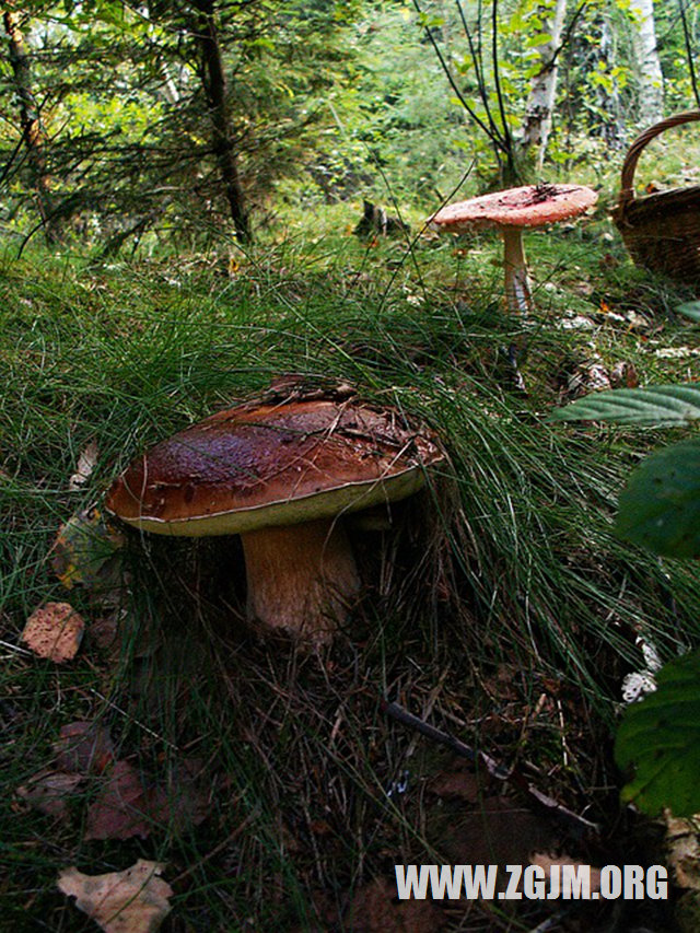 夢見家裡進人_周公解夢夢到家裡進人是什麼意思_做夢夢見家裡進人好不好_周公解夢官網