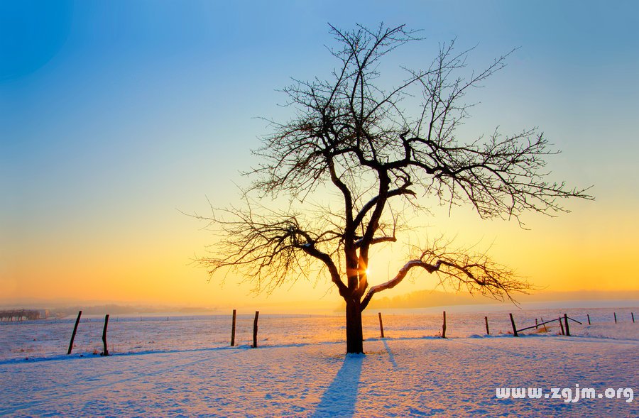 3大“網戀先鋒”的星座_十二星座