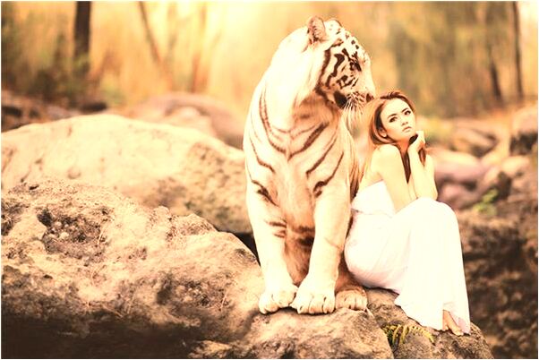 夢到了飯碗丟失怎么說_周公解夢官網