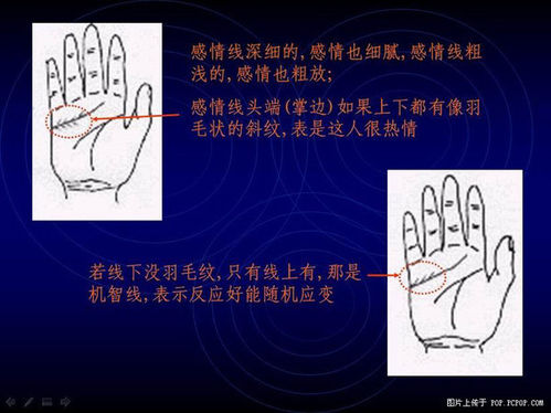 Palm fortune-telling emotional line identification and the diagram of 3