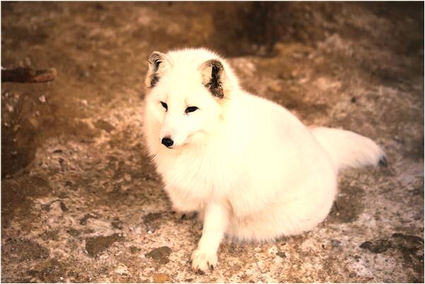 夢到了錢多五萬會是什麼預兆_周公解夢官網