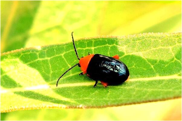 夢見親人流淚什麼預兆_周公解夢官網