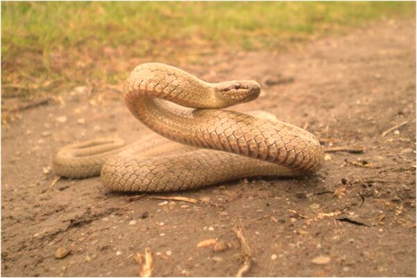 夢到出租屋住了很多民工怎么樣_周公解夢官網