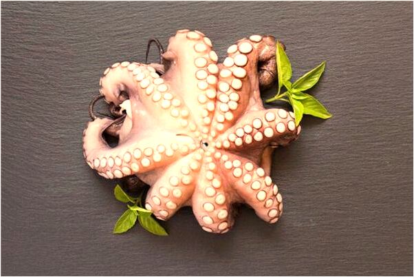 夢到了公司里跑進野豬預示什麼有何寓意_周公解夢官網