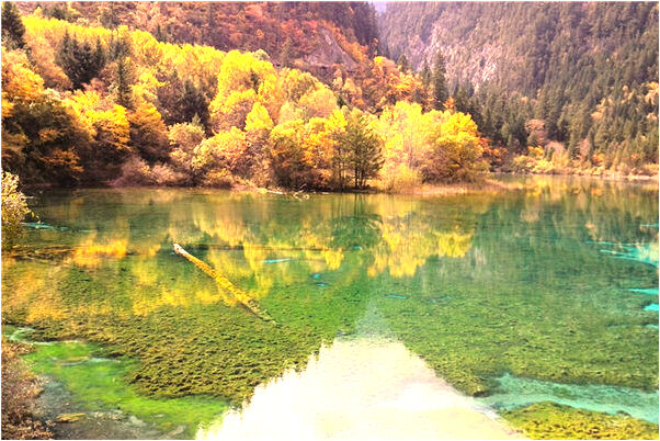 夢見銀行卡的錢不見了是什麼兆頭_周公解夢官網