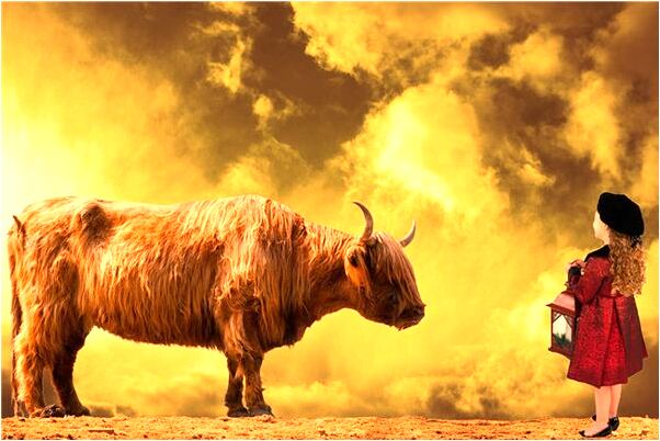 夢到去座飛機好不好_周公解夢官網