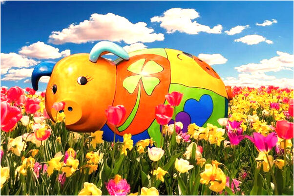 夢到自己和貓睡在一起是什麼意思_周公解夢官網