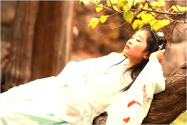 夢見小綿羊意味什麼_周公解夢官網