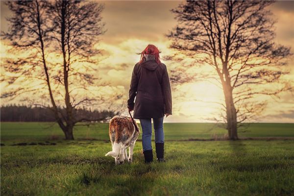 夢到往回走意味什麼_周公解夢