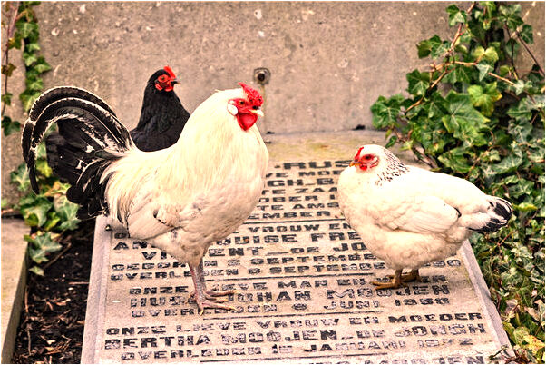 夢見有人烤火是什麼徵兆_周公解夢官網