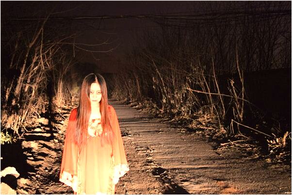 夢見家中三隻孔雀逮到一隻是什麼徵兆_周公解夢官網