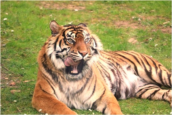 夢到了同事的小孩被大雨淋是好的徵兆嗎_周公解夢官網