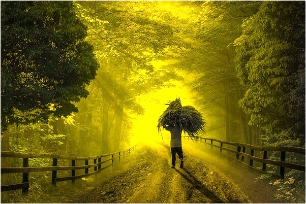 夢到了龍的九子要和我打仗意味著什麼_周公解夢官網