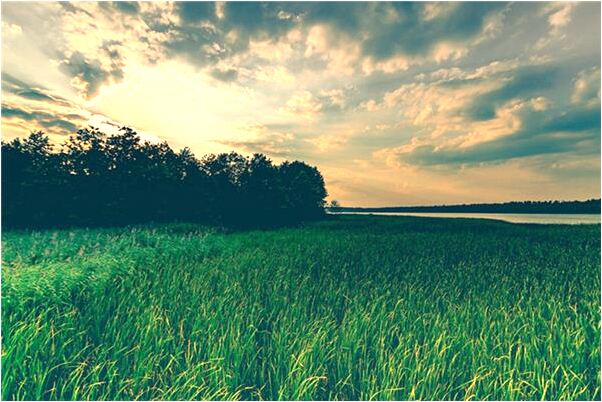 夢到了手上沾滿屎啥意思_周公解夢官網