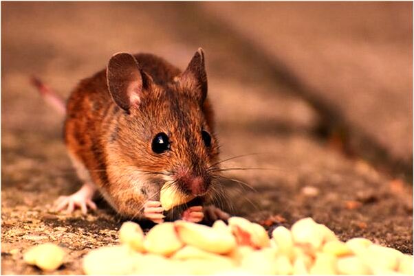 夢見爸爸抱著一個小女孩有什麼意思_周公解夢官網