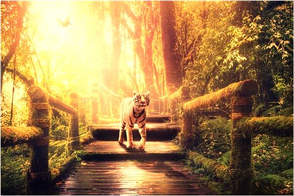 夢見相隔四年照顧不了女兒是什麼啟示_周公解夢官網