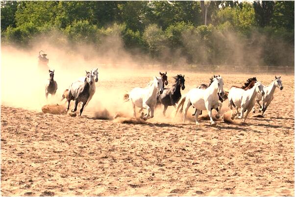 夢到磨好四塊硬質合金力塊有什麼寓意嗎？_周公解夢官網