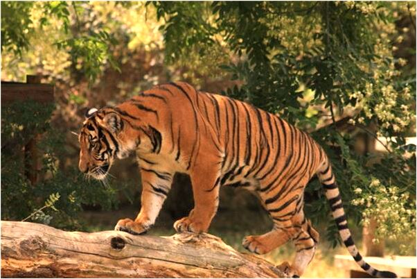 夢到了自己與倆男女同床是好事還是壞事_周公解夢官網