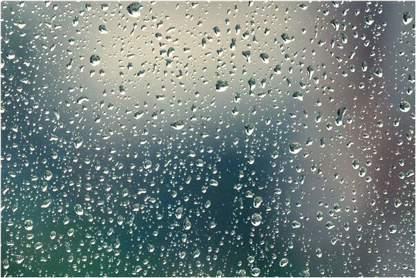 夢到兩隻眼鏡蛇是什麼預兆_周公解夢官網