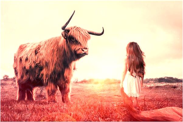 夢到先父說要鞋是什麼徵兆_周公解夢官網