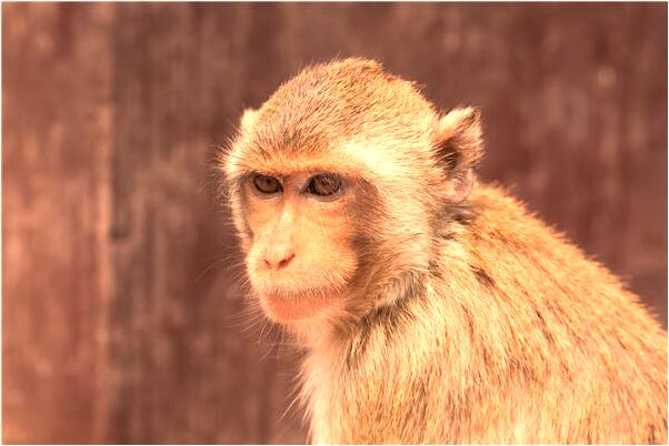 夢到初戀要和我在一起怎么回事_周公解夢官網