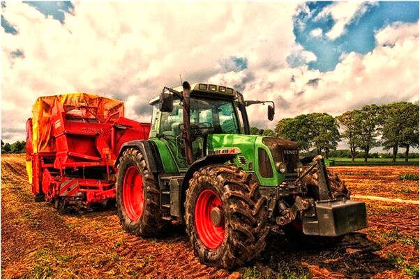 夢到了請輸入捉老鱉有什麼意義嗎_周公解夢官網