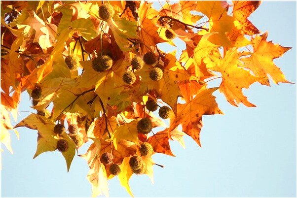 夢到與學生做愛有何寓意_周公解夢官網