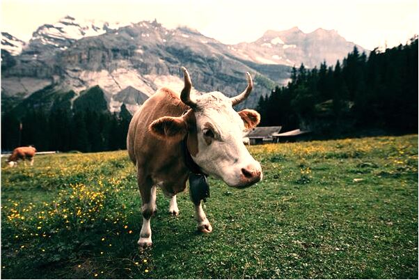 夢見打人卻沒把人打倒的預兆_周公解夢官網