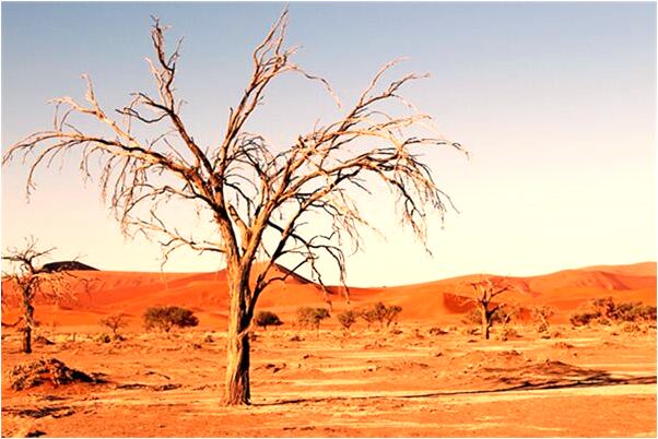 夢到了稻草房著火又滅了代表著什麼_周公解夢官網