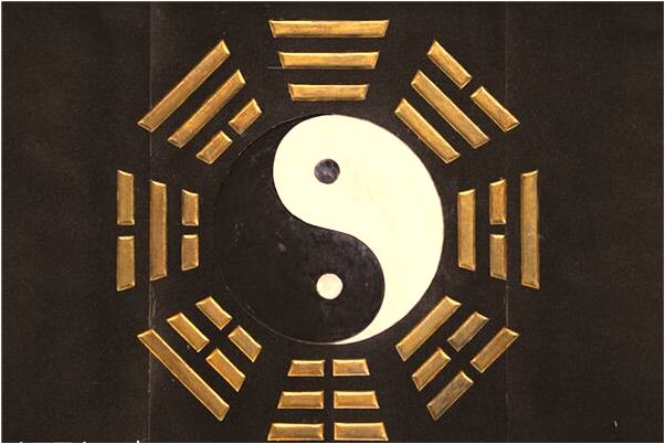 夢見渾水裡有蛇怎么說_周公解夢官網