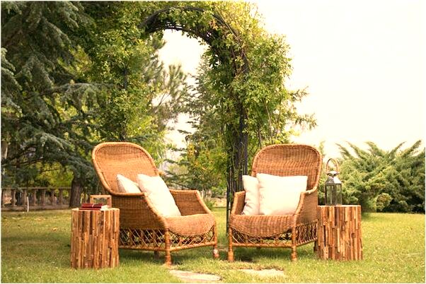 夢到三條大蛇在水中有什麼預兆_周公解夢官網