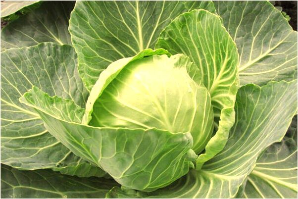 夢見幫別人擦腳怎么樣_周公解夢官網