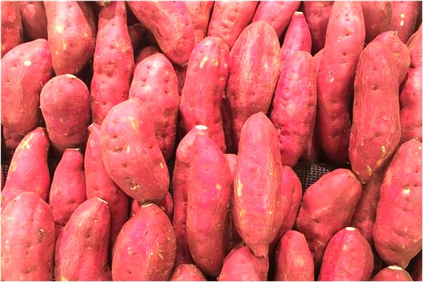 夢見父親不理我有什麼含義_周公解夢官網