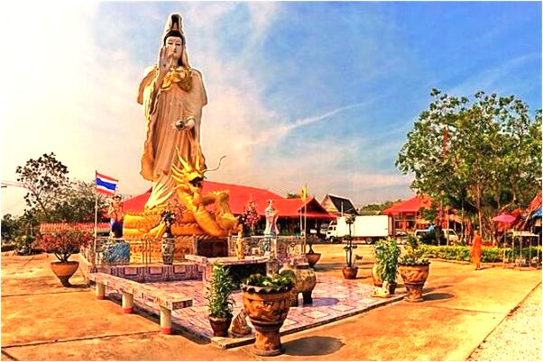 夢見白虎追我代表什麼_周公解夢官網