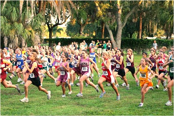 夢見姐給弟晚上關門怎么樣_周公解夢官網