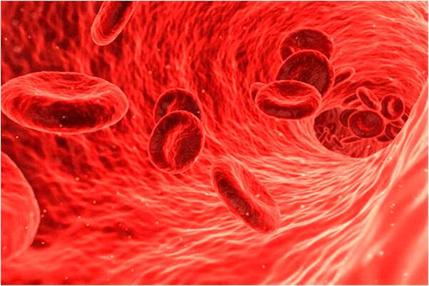 夢見一天特別大的金色的魚預示著什麼_周公解夢官網