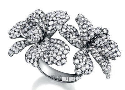 夏日屬於12星座的花草指環_十二星座