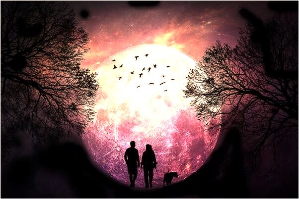 夢見電梯裡的數字是啥意思_周公解夢官網