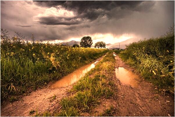 夢到了和不知名的女人談戀愛什麼預兆_周公解夢官網